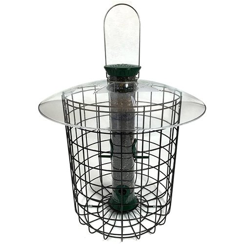 Droll Yankees Domed Cage Bird Feeder Review