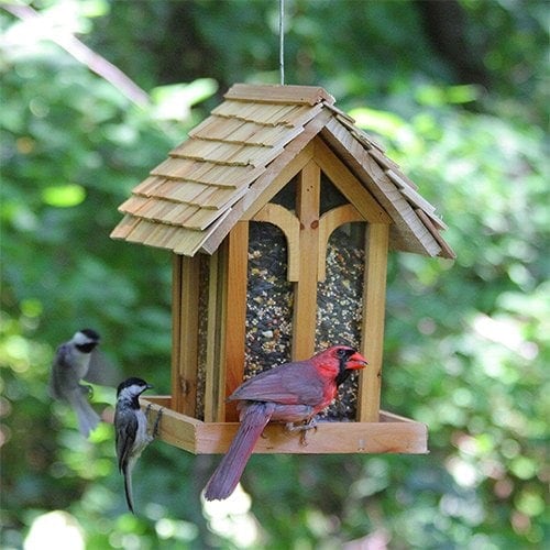 Perky-Pet Mountain Chapel Bird Feeder Review