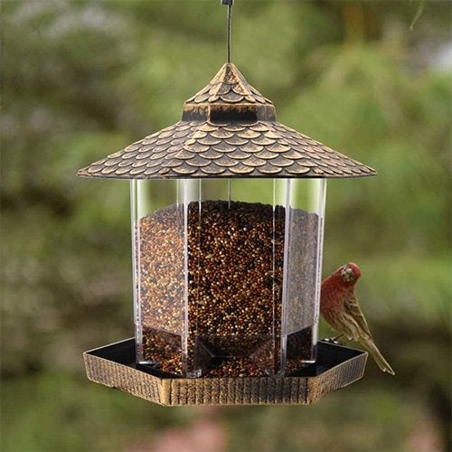 Twinkle Star Wild Bird Feeder Review