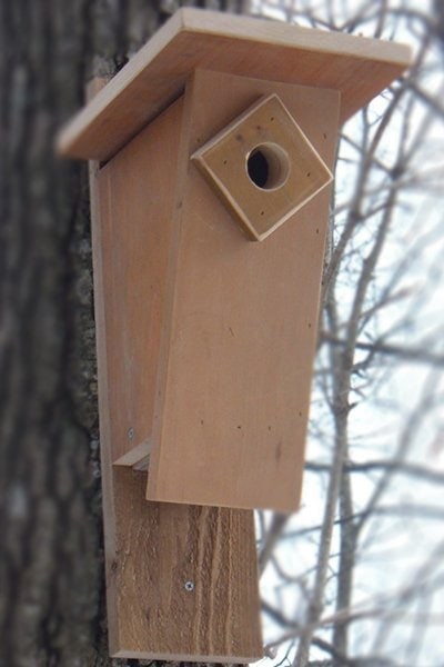 Peterson birdhouse plan