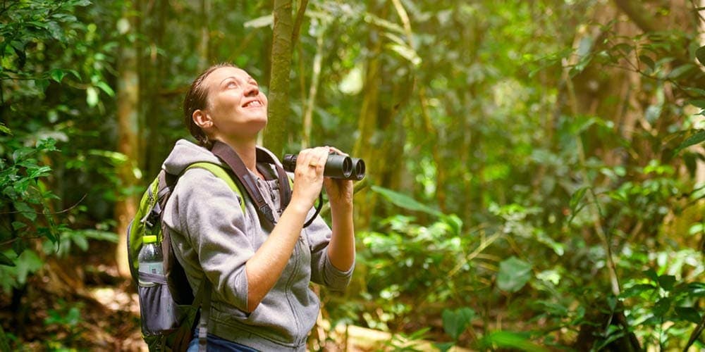 A Complete Buying Guide To Finding The Best Bird Watching Binoculars Under $100