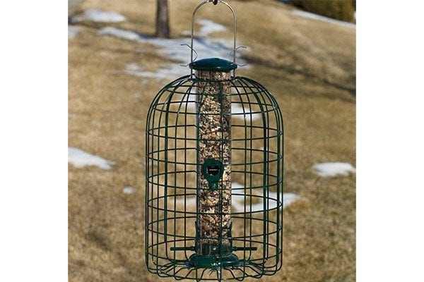 Audubon Squirrel Proof Caged Tube Type Bird Feeder