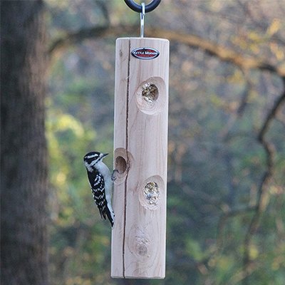 Kettle Moraine Cedar Suet Plug Log Feeder