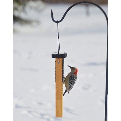 Nature's Way Tail Prop Cedar Feeder