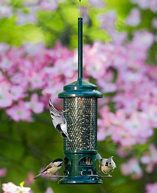 Squirrel Buster Standard Squirrel-proof Bird Feeder