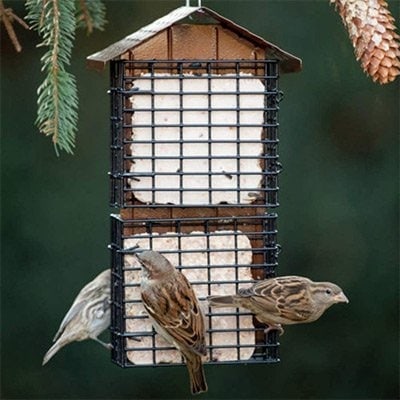 Stokes Select 38129 Cake Suet Buffet Bird Feeder