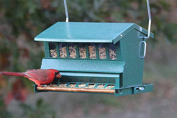 Woodlink Absolute Squirrel Resistant Bird Feeder