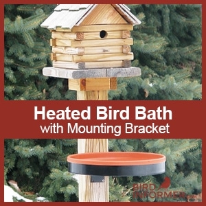Heated Bird Bath With Bracket