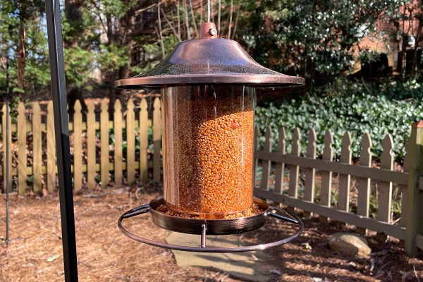Perky Pet Copper Panorama Bird Feeder Circular Food Dispenser Transparent 