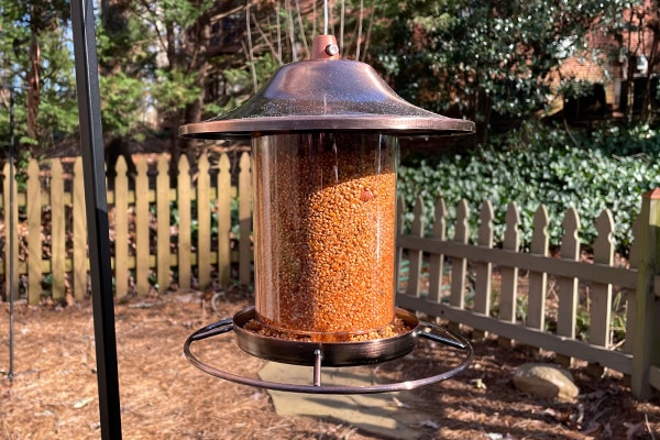 Perky-Pet Copper Bird Feeder With Spicy Bird Seed