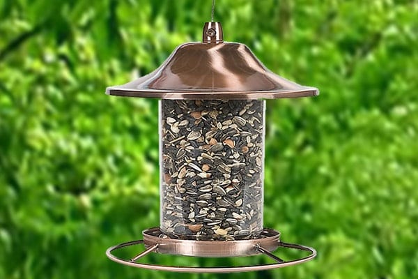 A Cut Above The Rest: The Copper Panorama Bird Feeder