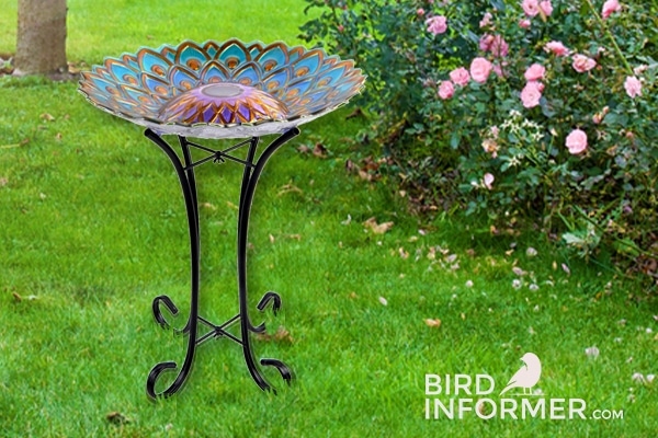 Solar Glass Garden Bird Bath – The Definitive 2024 Review