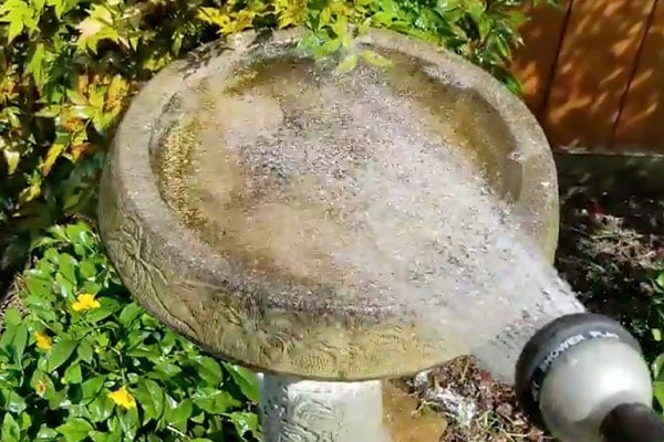 How To Clean A Birdbath