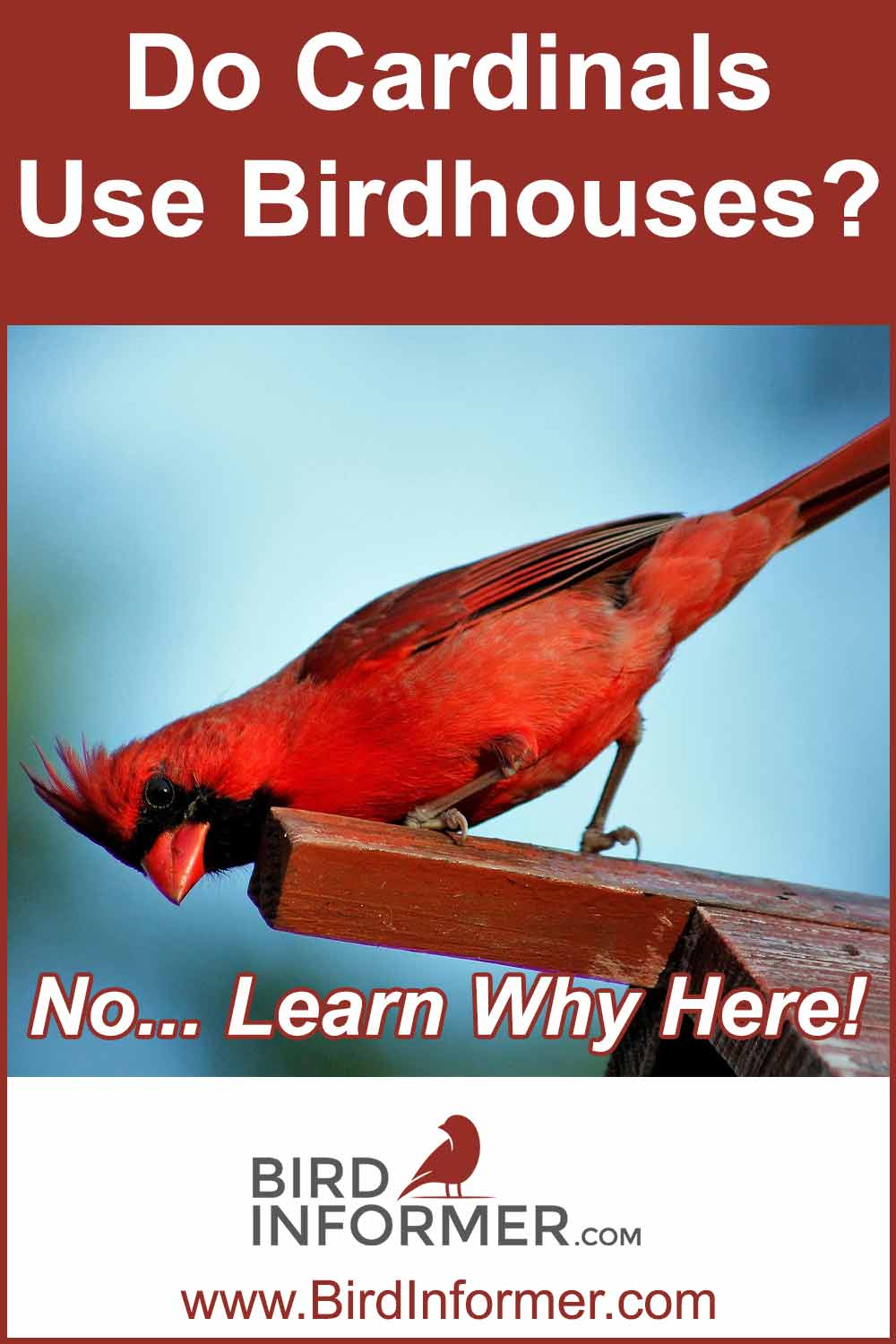 Do cardinals use birdhouses