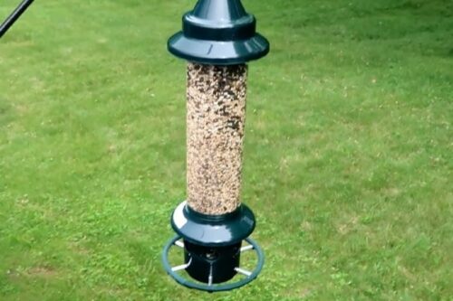 Squirrel Buster Plus Squirrel-proof Bird Feeder