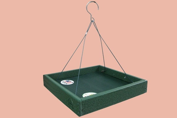 Going Green Platform Feeder Review