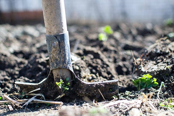 Dig a hole for how to stabilize a bird bath