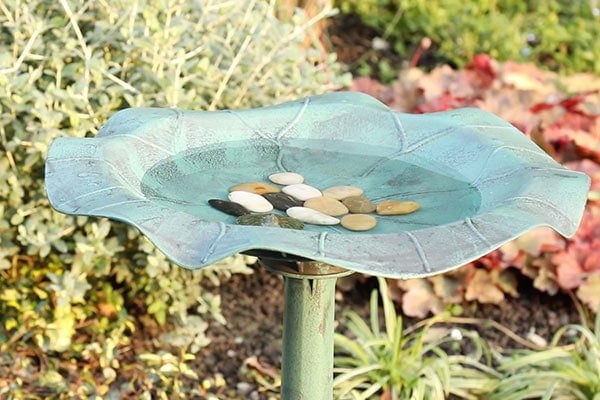 why do you put stones in a bird bath