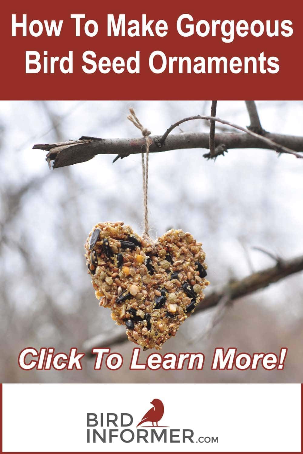 Making Bird Seed Ornaments