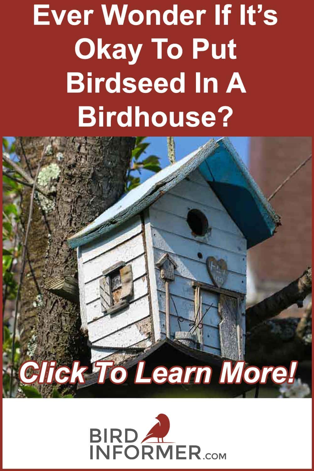 Birdseed In Bird House