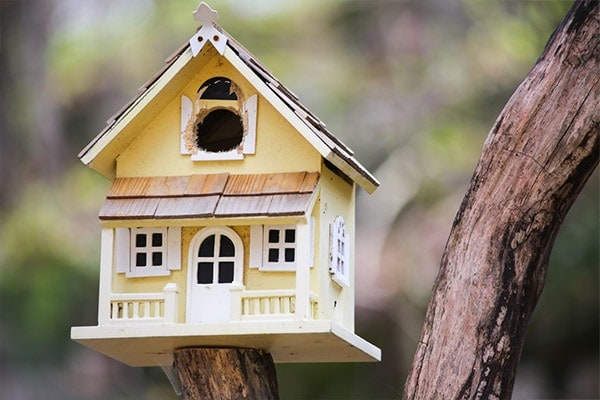 close-up view of a large birdhouse