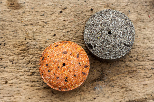 image of a birdseed cake