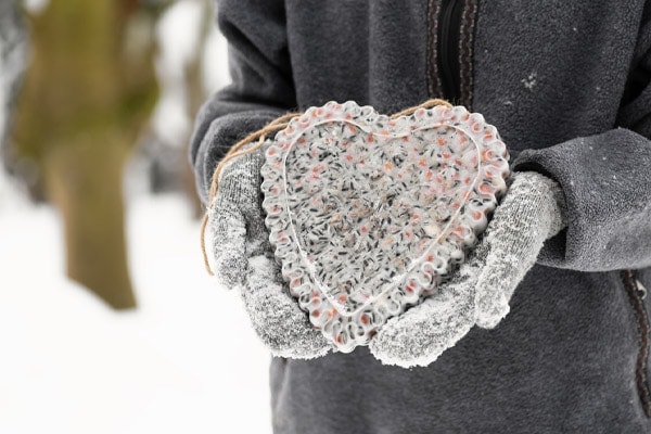 image of homemade birdseed cake shaped like a heart