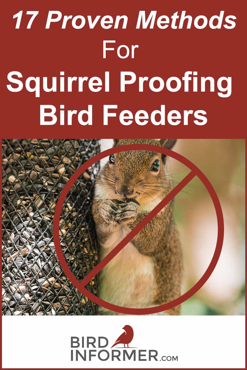 squirrel proofing bird feeders