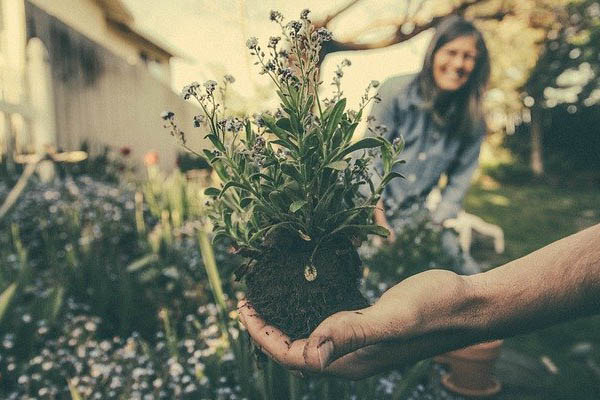 image of couple growing native plants to attract owls image of couple growing native plants to attract owls