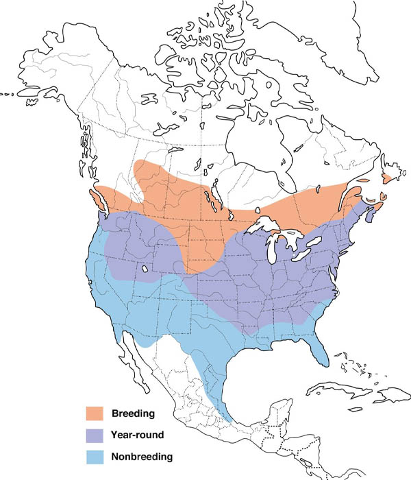 American Goldfinch map
