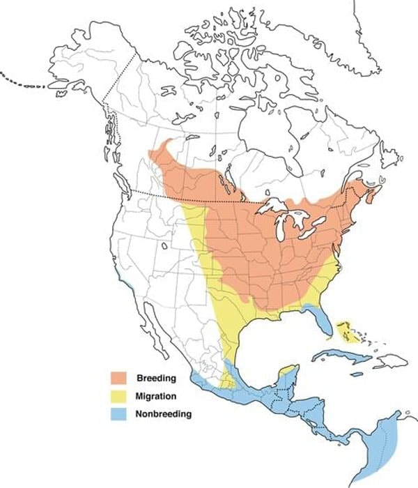 Baltimore Oriole map