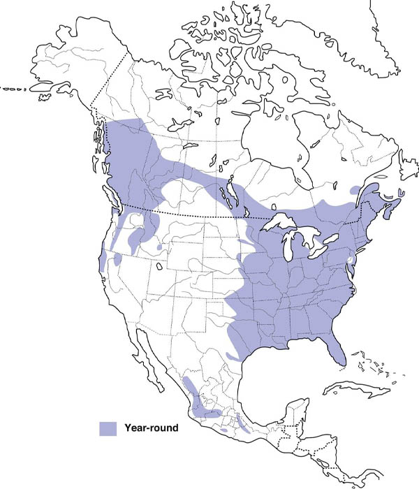 Barred Owl map