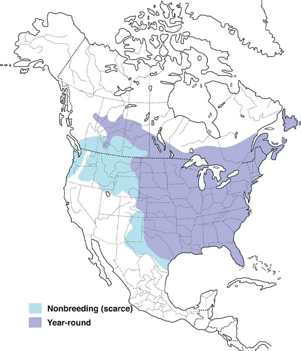 Blue Jay map