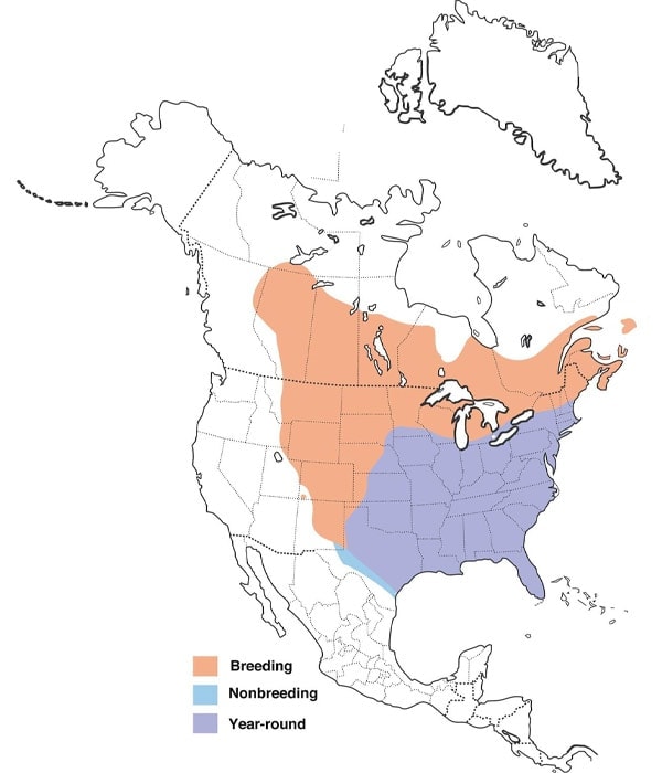 Common Grackle map