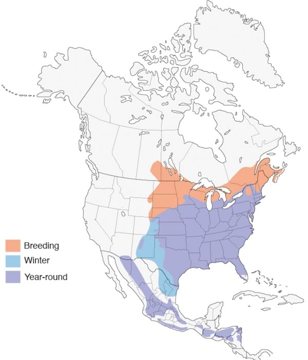 Eastern Bluebird map