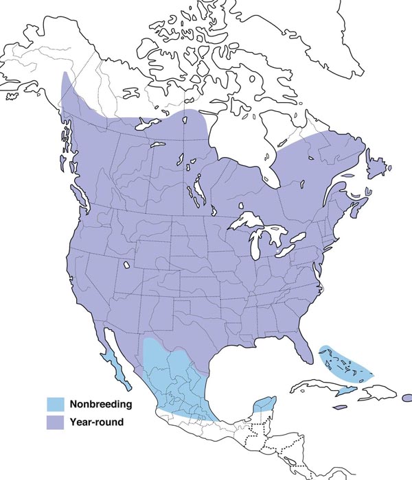 European Starling map