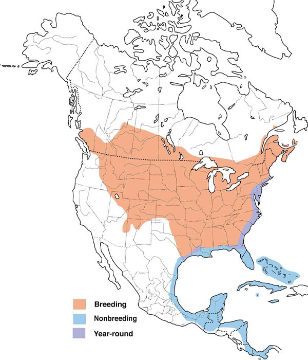 Gray Catbird map