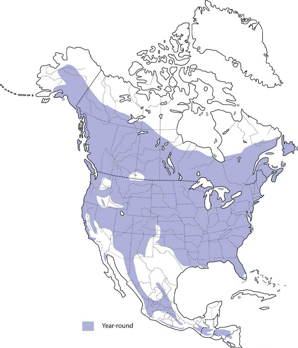 Hairy Woodpecker Map