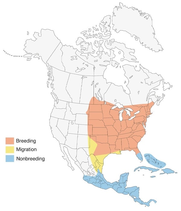 Indigo Bunting map