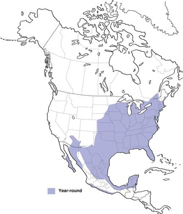 Northern Cardinal map