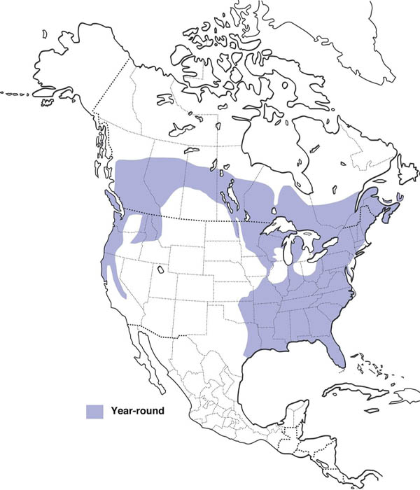 Pileated Woodpecker Map