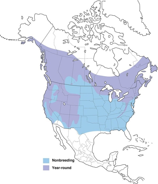 Red-breasted Nuthatch map