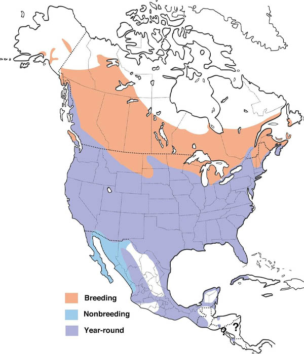 Red-winged Blackbird map