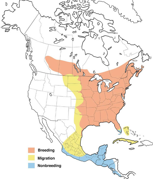 Ruby-throated Hummingbird map