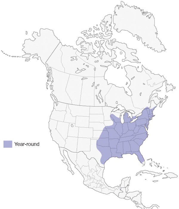 Tufted Titmouse map