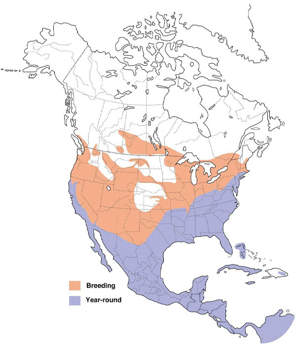 Turkey Vulture map