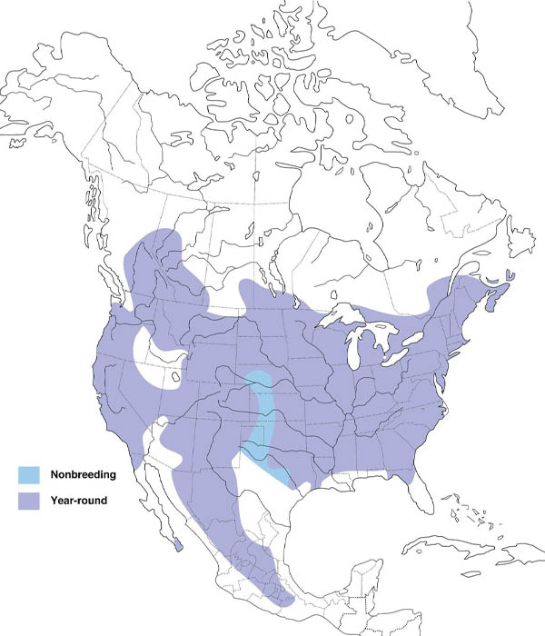 White-breasted Nuthatch map