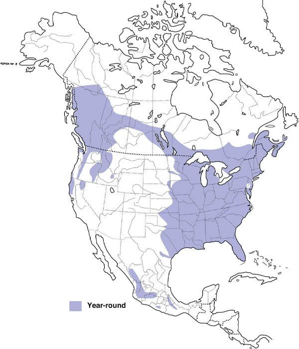 Yellow-Bellied Sapsucker map