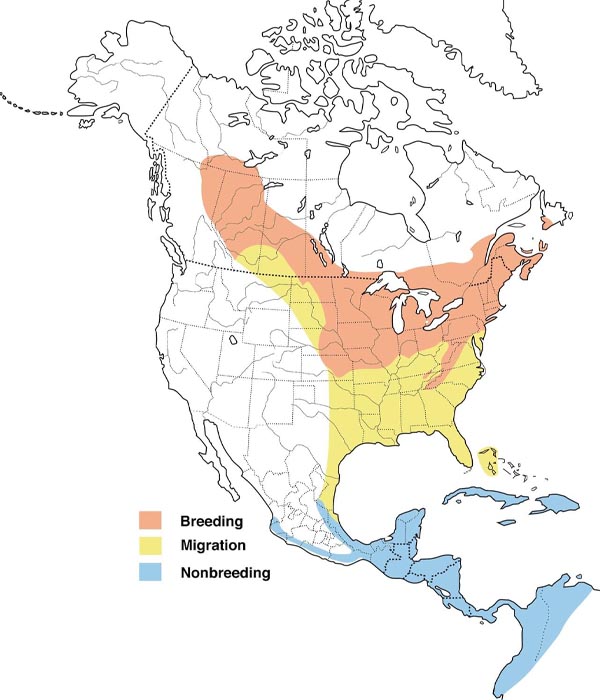 rose breasted grosbeak map