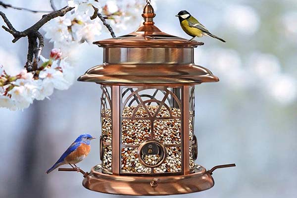 Antique Lantern Style Lattice Hanging Bird Feeder In-Depth Review